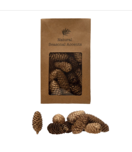 Creative Co-Op Large Dried Natural Pinecones in Printed Kraft Bag