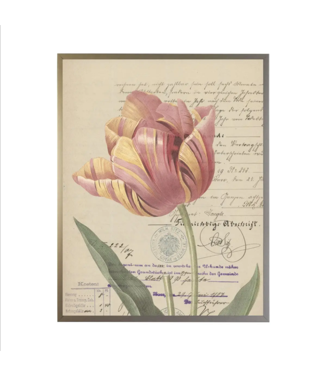 Antique Curiosities Inc Yellow And Pink Tulip