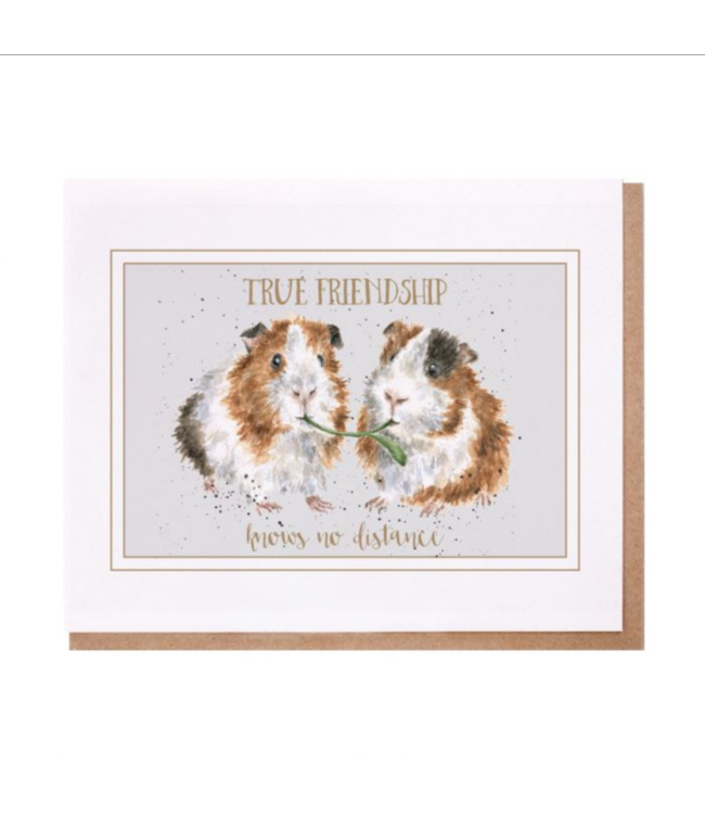 Wrendale Designs 'True Friendship' card