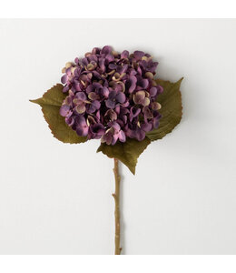 Sullivans Gift Purple Hydrangea Stem