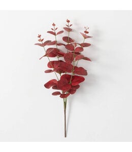 Sullivans Gift Red Eucalyptus Pick