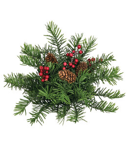 Sullivans Gift Douglas Pine Half Orb