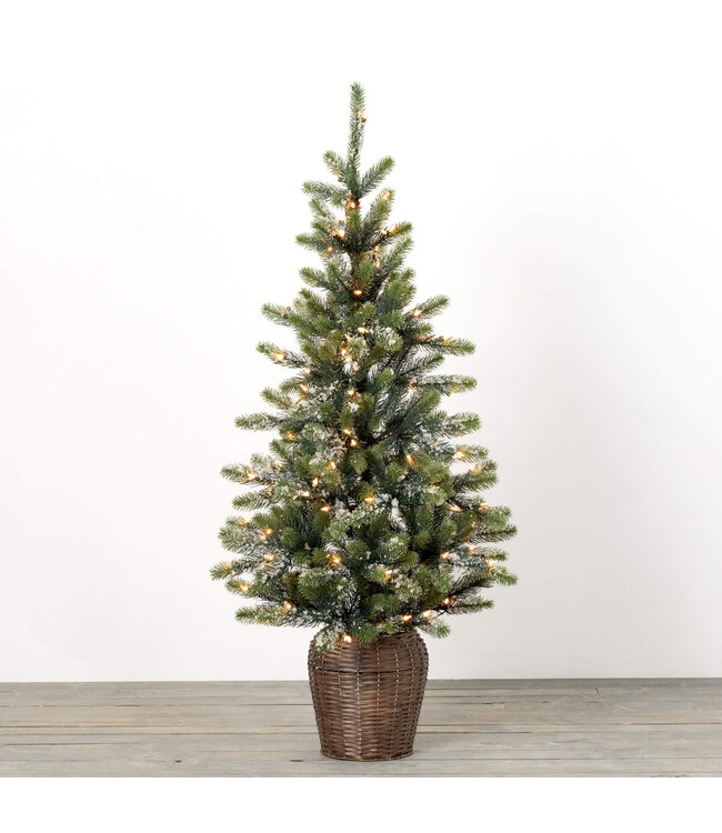 Sullivans Gift 4' Potted Lit Iced Pine Tree