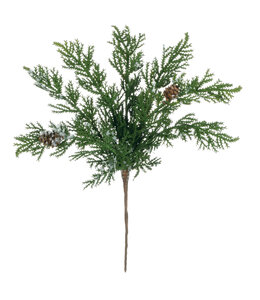 Sullivans Gift Cypress With Snow Pick