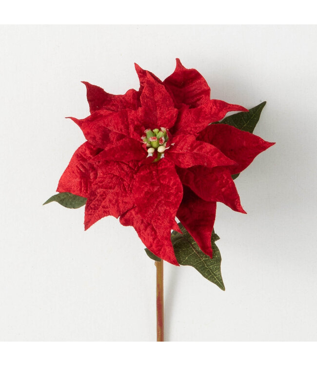 Sullivans Gift Vivid Red PoinSettia Stem