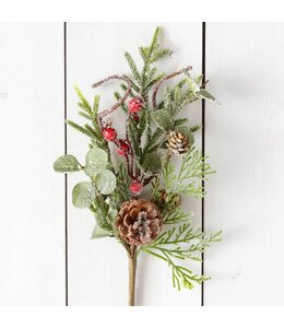 Audrey's Pick - Frosted Mixed Evergreens, Berries, Cones