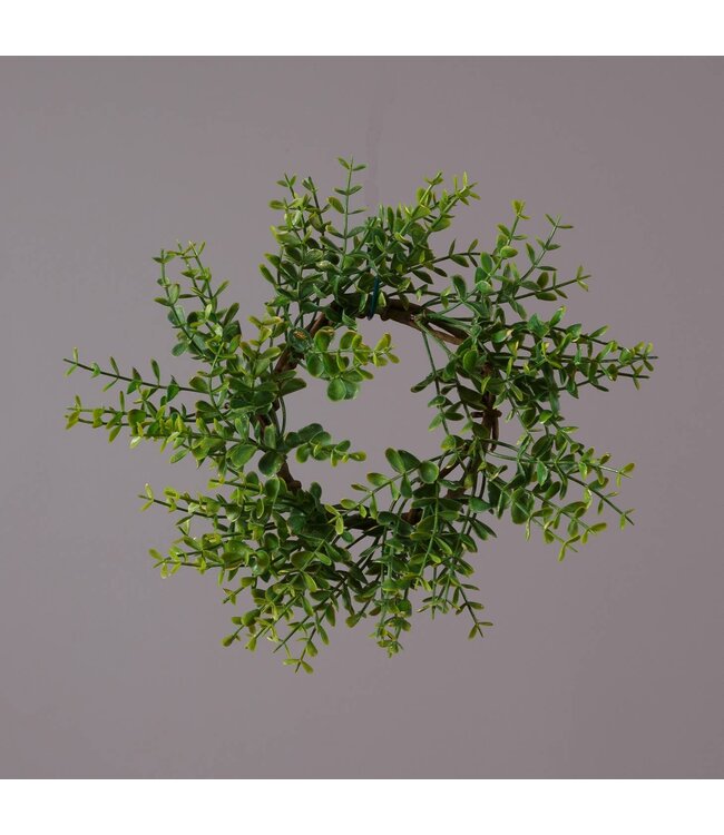 Audrey's Candle Ring - Boxwood