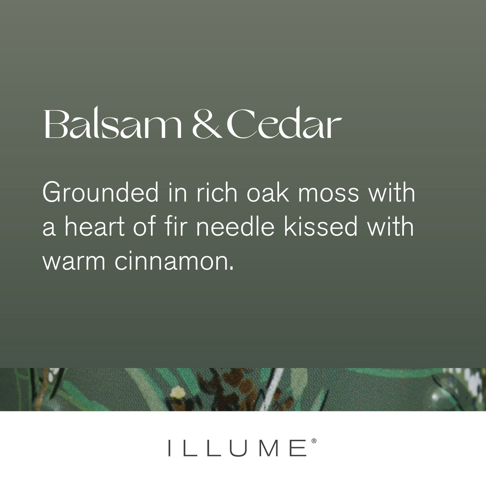 Illume Medium Fragranced Pillar Candle, Balsam & Cedar