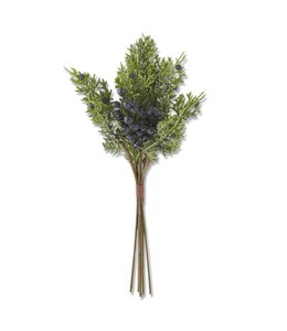 K&K Interiors 16.25 Inch Cedar & Blueberry Bundle