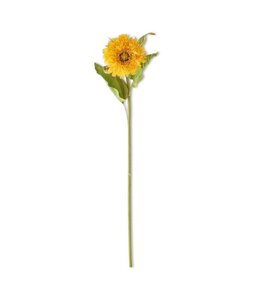 K&K Interiors Yellow Aster Stem