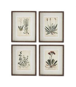 K&K Interiors Broadleaf Weed Print w/Ribbed Frame-4 Styles