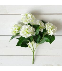 Audrey's Hydrangea, White Bunch