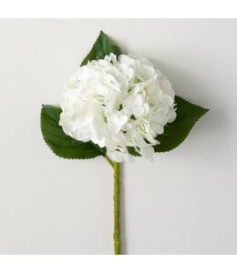 Sullivans Gift Freshcut  White Spring Hydrangea