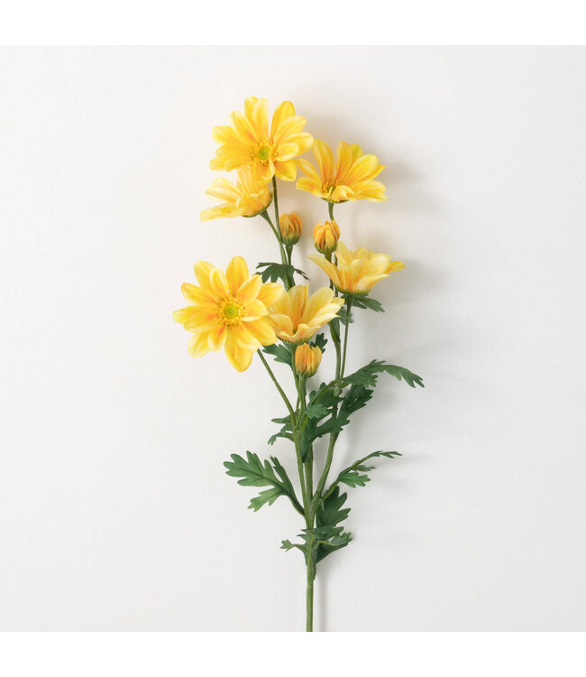 Sullivans Gift Bright Yellow Gazania Stem