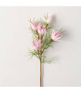Sullivans Gift Mini Protea Spray-Pink