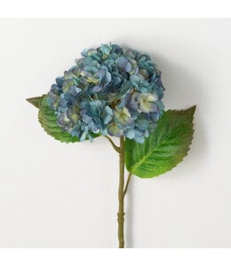 Sullivans Gift Blooming Dusty Blue Hydrangea