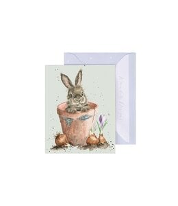 Wrendale Designs 'Flower Pot Bunny' rabbit Enclosure Card