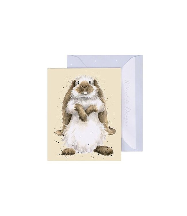 Wrendale Designs 'Earisistible' rabbit Enclosure Card