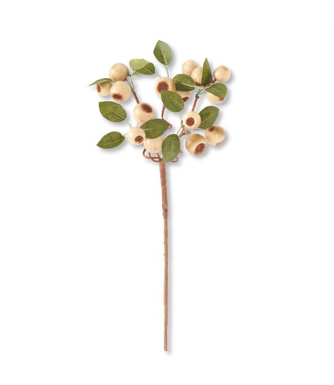 K&K Interiors Cream Pod Stem With Green Leaves