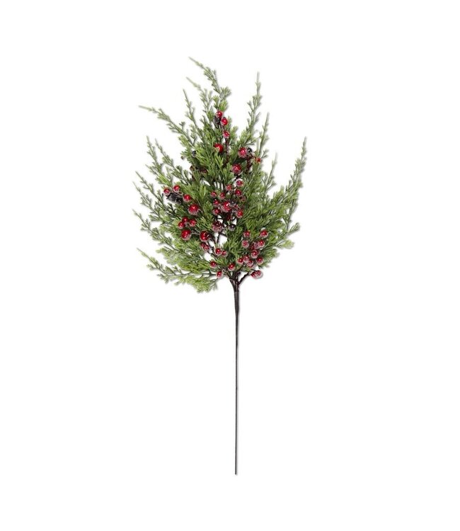 K&K Interiors Cypress Pine With Dark Red Iced Berry Stem