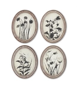 K&K Interiors Wood Framed Oval Black & White Botanical Print