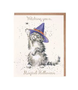 Wrendale Designs The Witch's Cat card