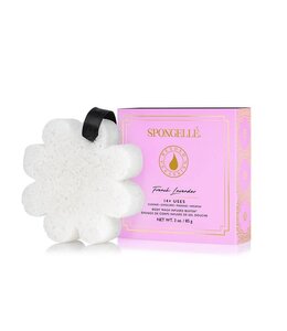 Spongelle French Lavender Boxed Flower
