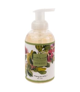 Mangiacotti Cranberry Wreath Foaming Hand Wash