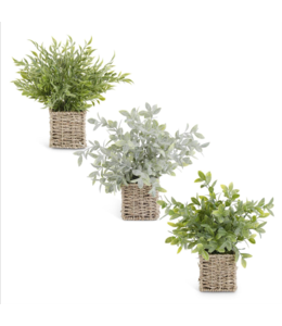 K&K Interiors Assorted 12 Inch Herbs in Woven Baskets, 3 Stlyes