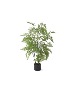 K&K Interiors Potted Fern Tree (3 Foot)