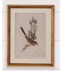 Audrey's Antique Birds Framed Print (16  x 12)