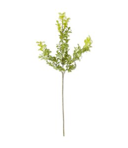 K&K Interiors Green With Cream Mini Leaves Spray