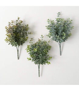 Sullivans Gift Two Tone Eucalyptus Bush