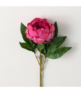 Sullivans Gift Freshcut Deep Pink Peony Spray