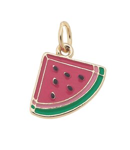 Canvas Style Shiny Gold With Enamel Charm