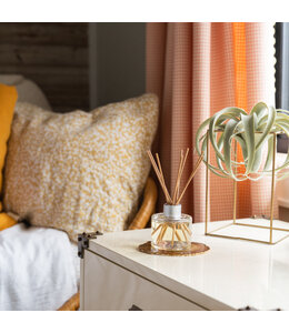 Greenleaf Gifts Orange & Honey Reed Diffuser
