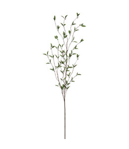 Sullivans Gift Foliage Branch