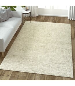 LR Home Haze Light Taupe/Cream 5' x 7'9" Area Rug