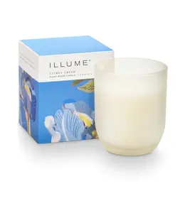 Illume Citrus Crush Baby Boxed Glass Candle