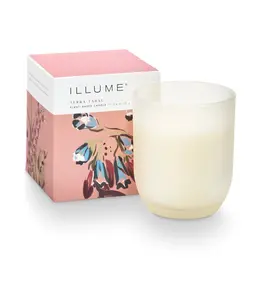 Illume Terra Tabac Baby Boxed Glass Candle