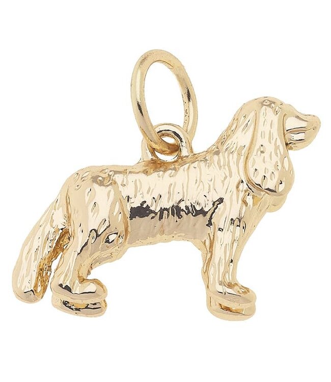 Canvas Style Shiny Gold Charm
