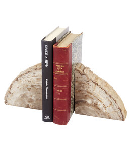 Old World Design Cream & Brown Petrified Wood  Bookend