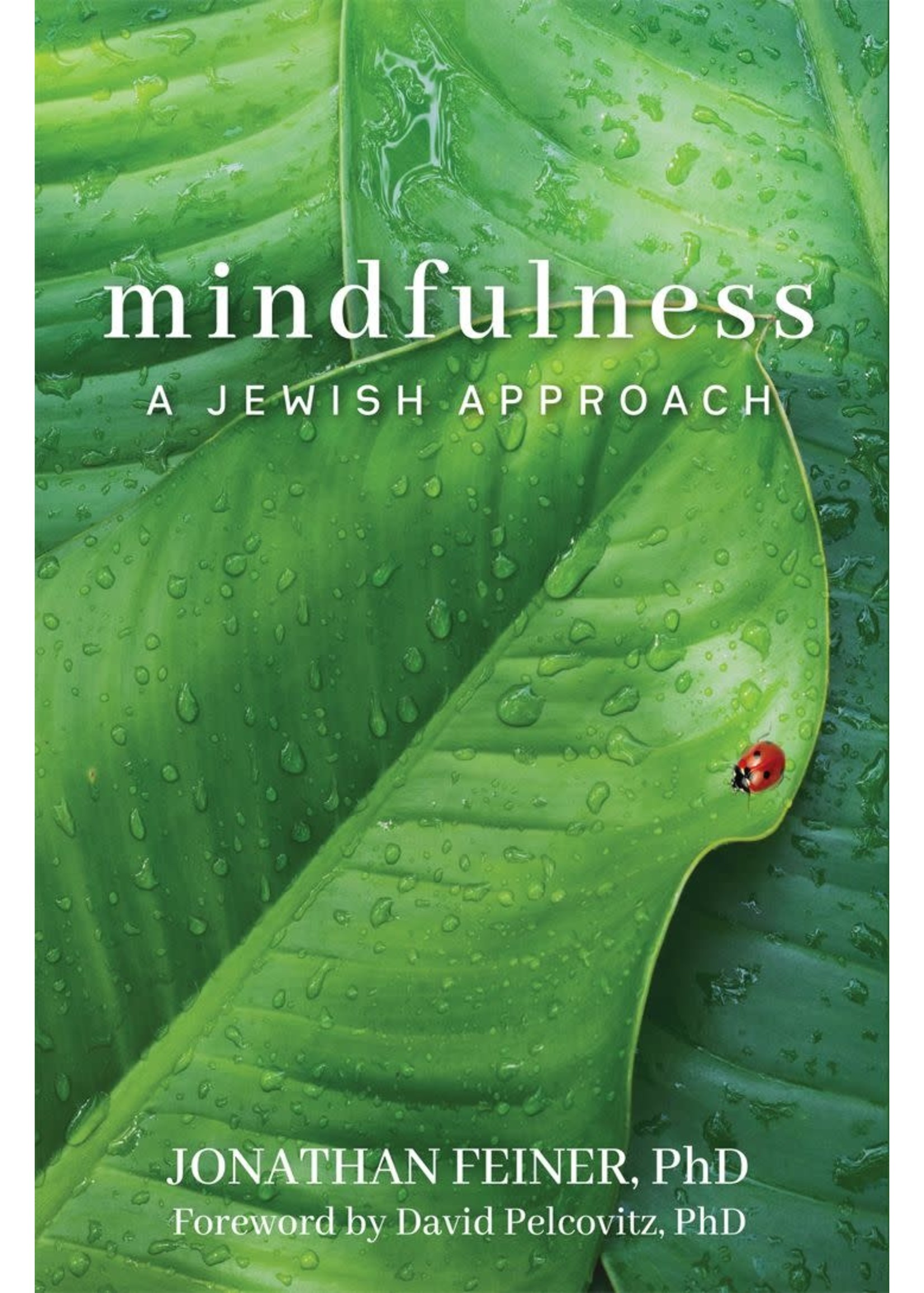 MINDFULNESS- A JEWISH APPROACH PAPERBACK