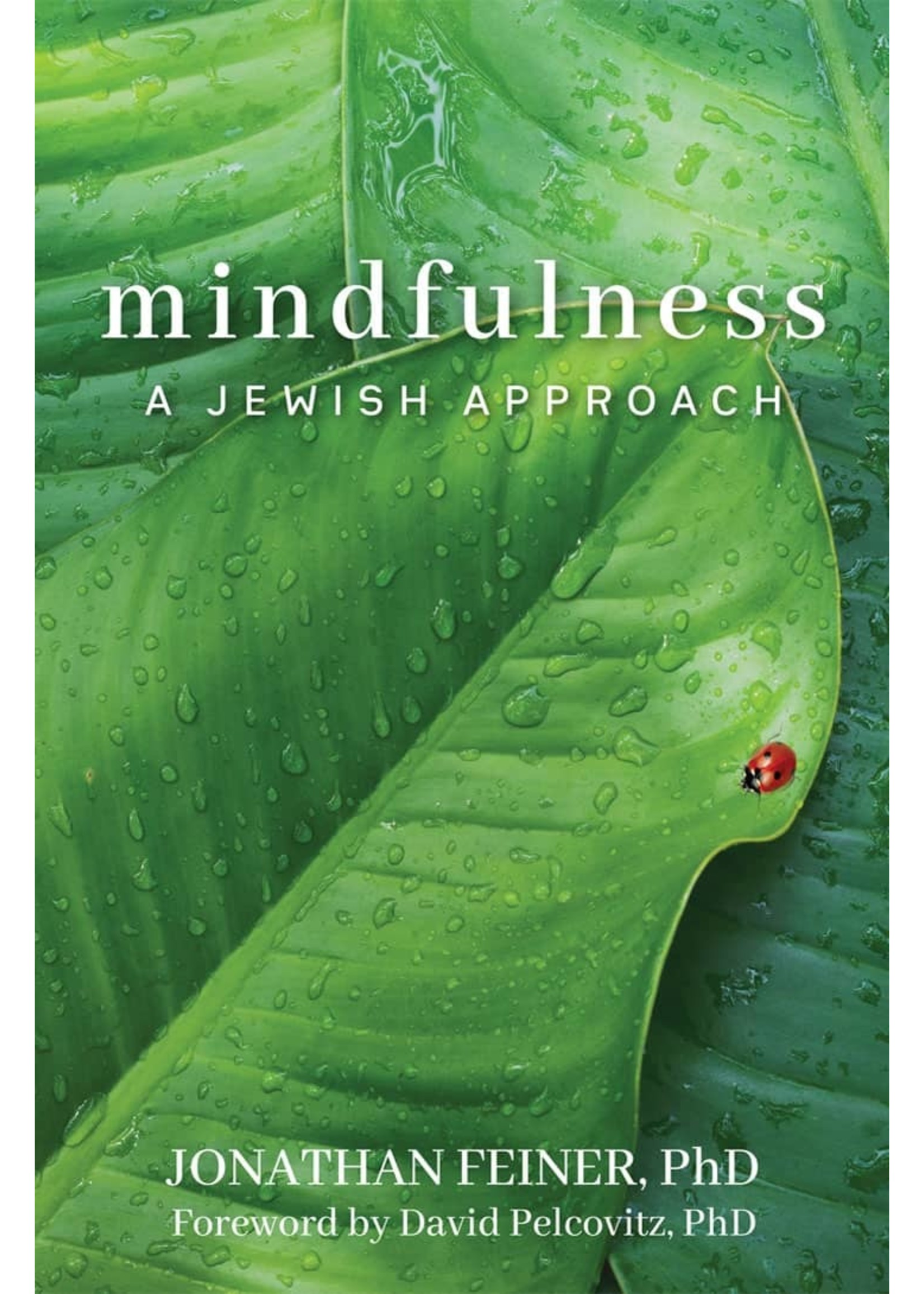 MINDFULNESS- A JEWISH APPROACH PAPERBACK