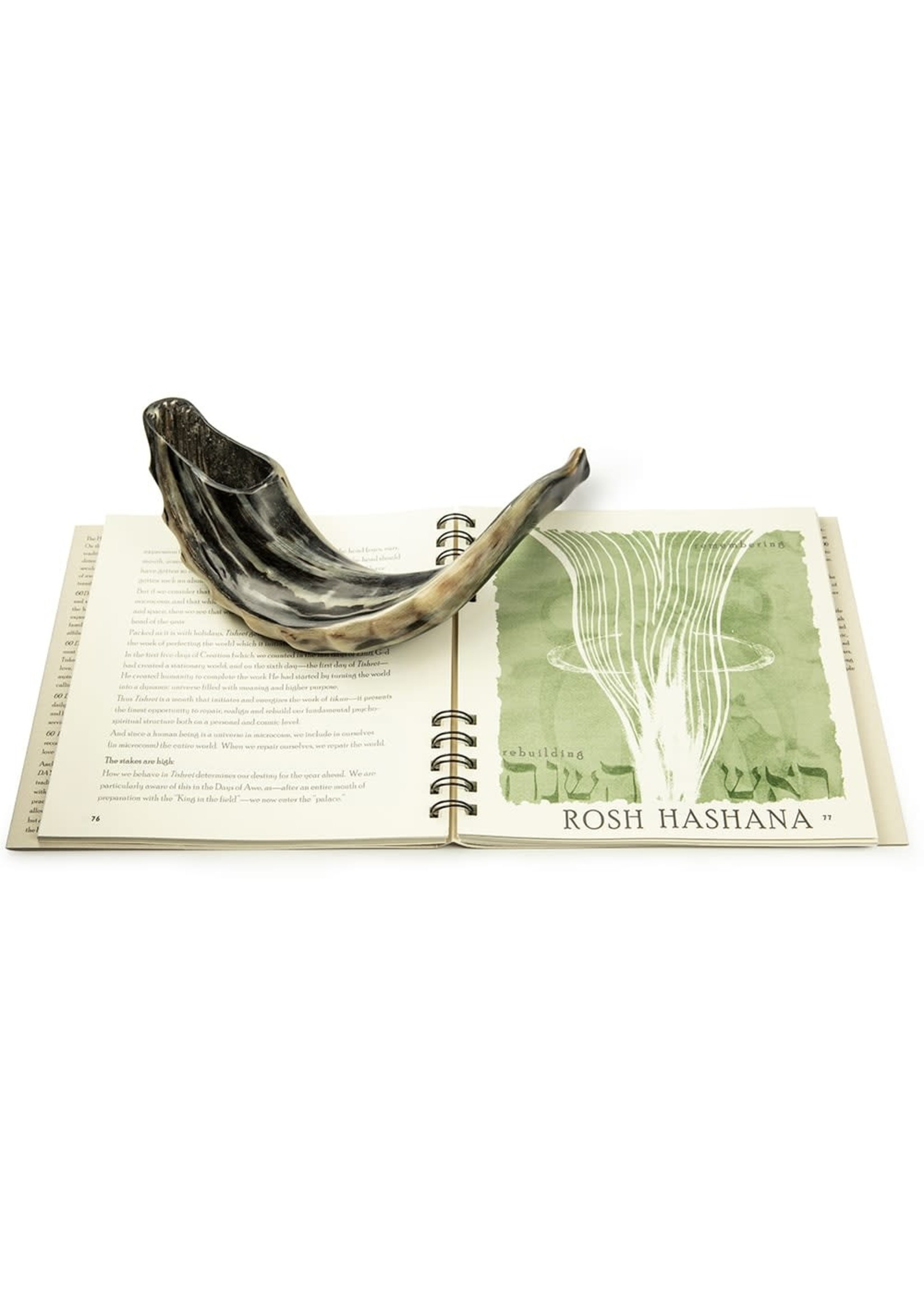 60 DAYS : A SPIRITUAL GUIDE TO THE HIGH HOLIDAYS