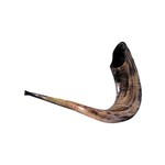 SHOFARS