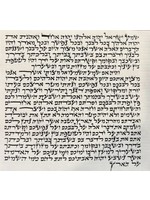 MEZUZAH SCROLL -  ASHKENAZI ARI 10 CM BASIC