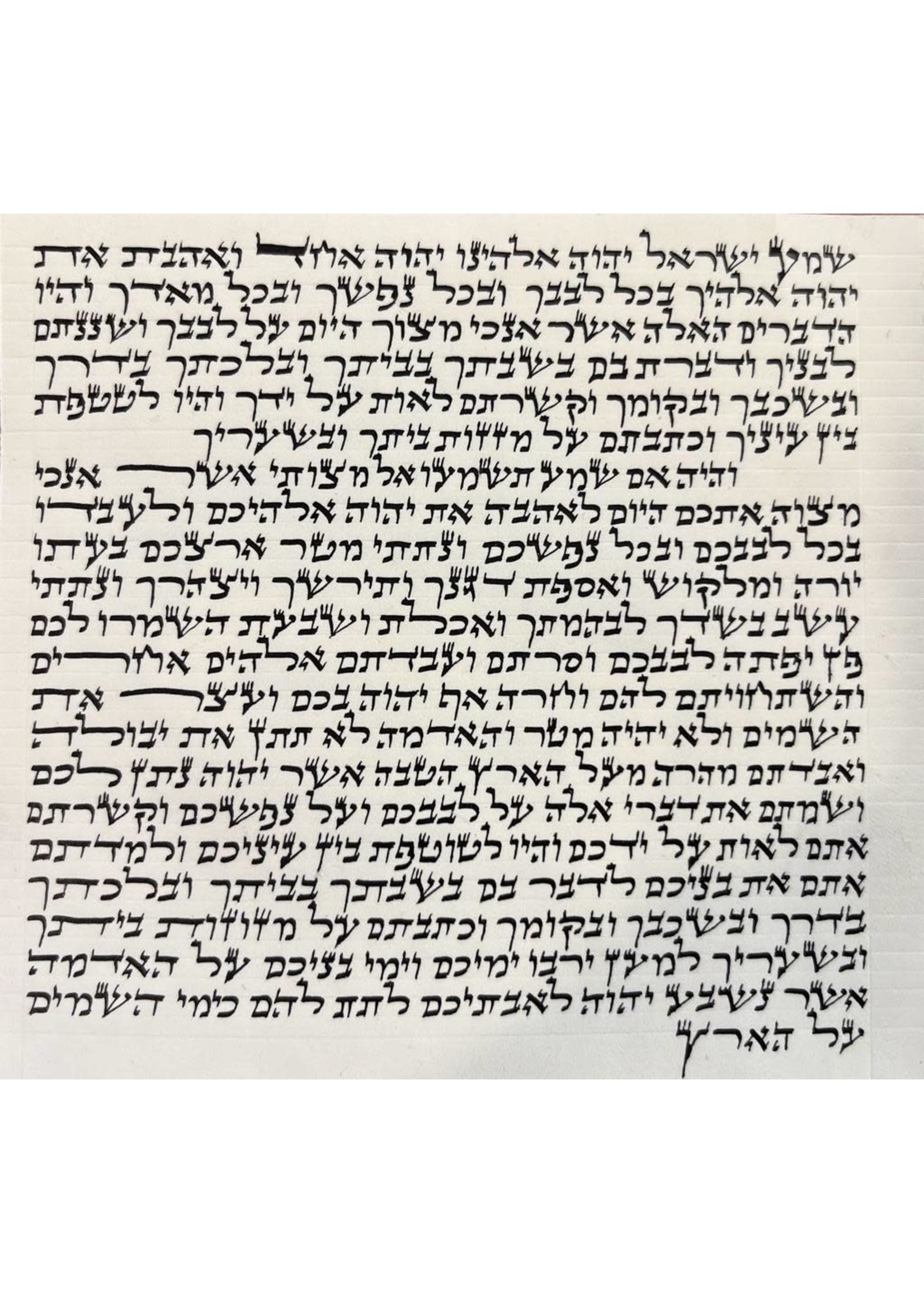 MEZUZAH SCROLL -  ASHKENAZI ARI 10 CM BASIC