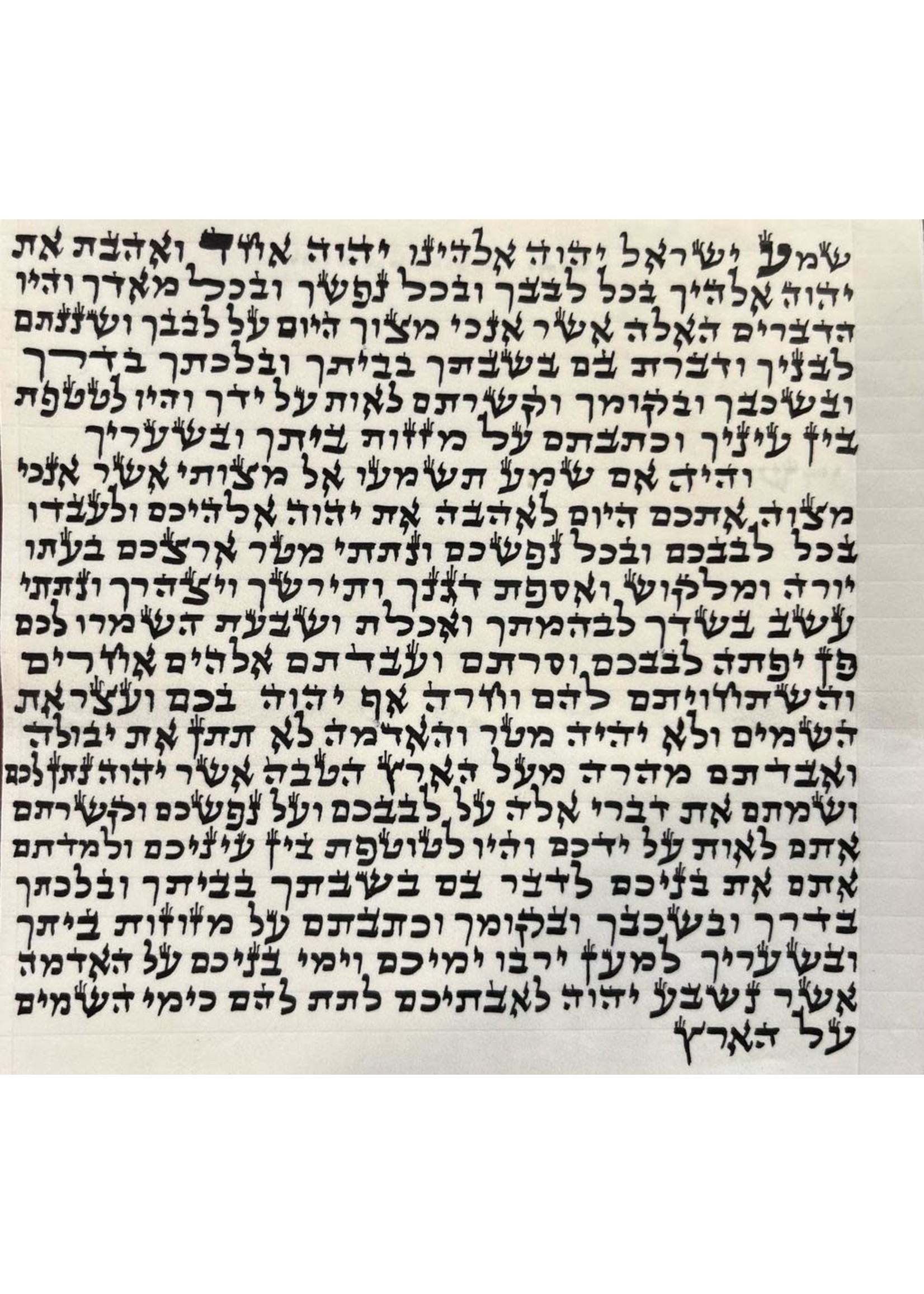 MEZUZAH SCROLL -  ASHKENAZI ARI 12CM BASIC