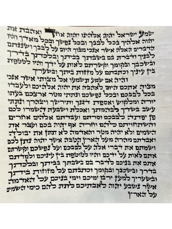 MEZUZAH SCROLLS Aspaclaria Judaica